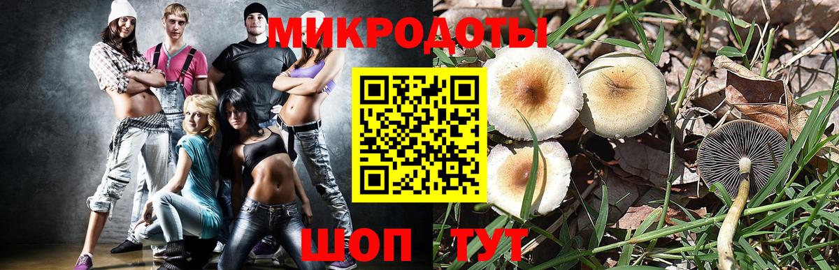 Галлюциногенные грибы мицелий Киселёвск