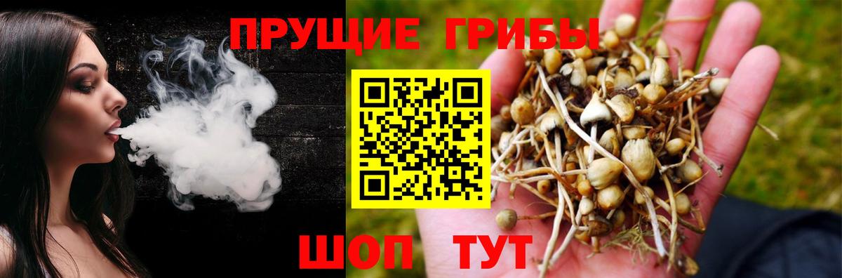 Псилоцибиновые грибы прущие грибы  Галлюциногенные грибы MAGIC MUSHROOMS  Вход с VPN  Киселёвск 